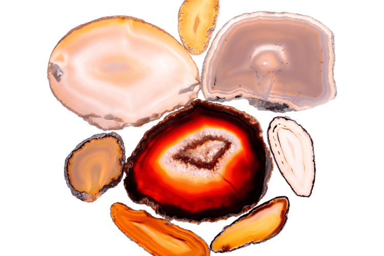 Projekt bez nazwy 12