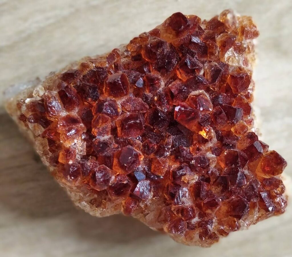 edugeologia-muzeum-cytryn