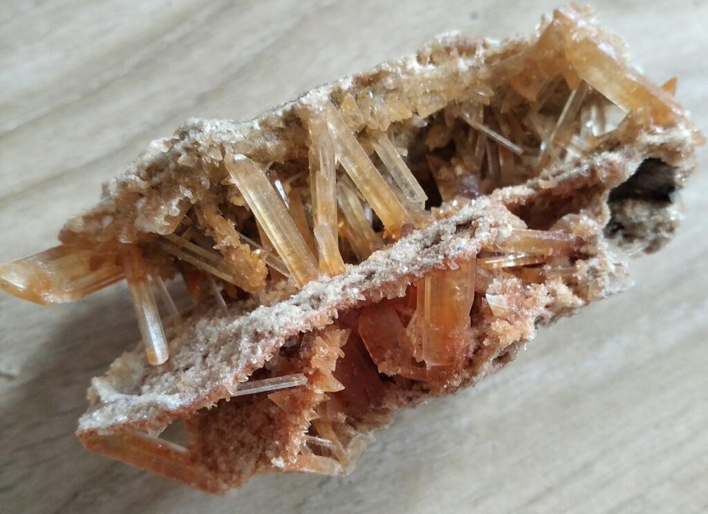 edugeologia-muzeum-gips3