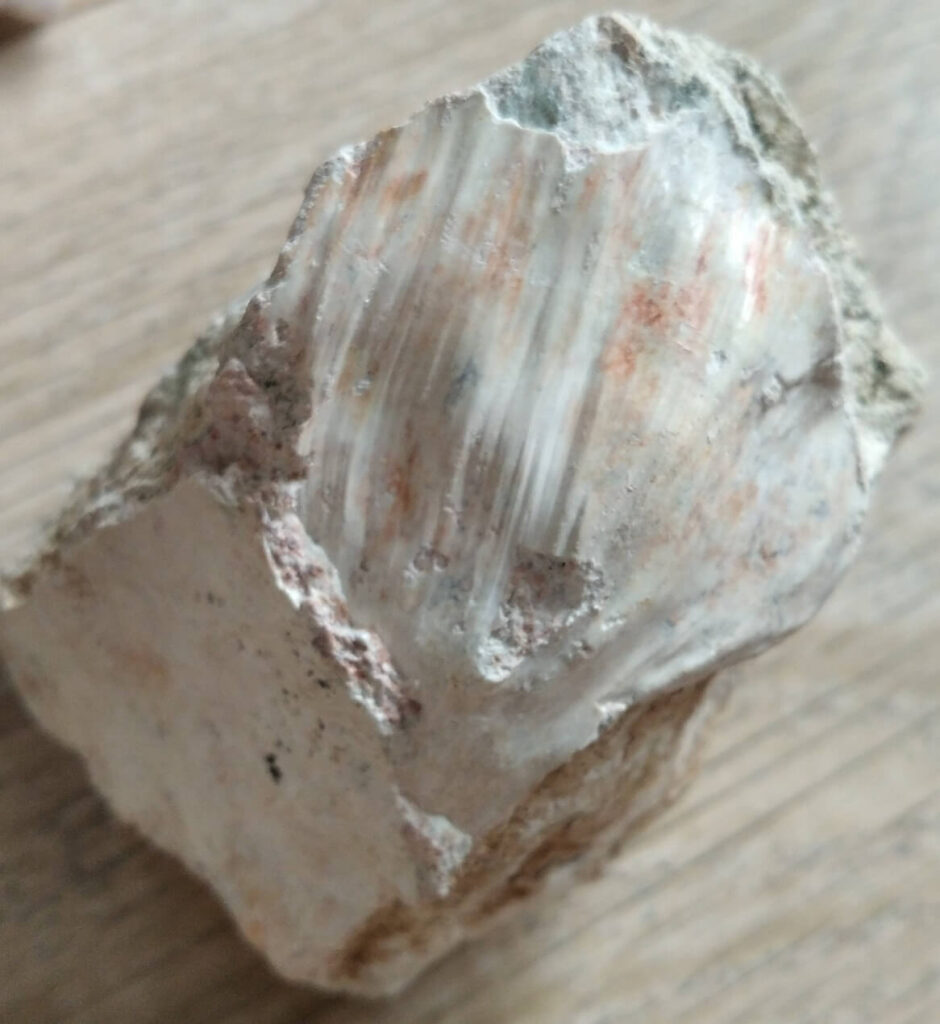 edugeologia-muzeum-magnezyt-2