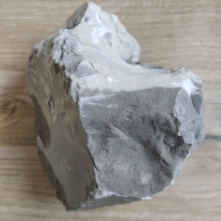 edugeologia-muzeum-wapień