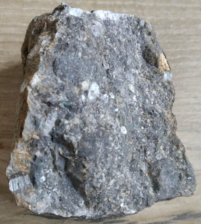 edugeologia-muzeum-wapień-krynoidowy