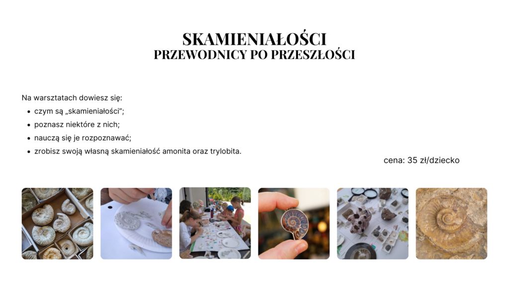 interaktywne warsztaty geologiczne 4