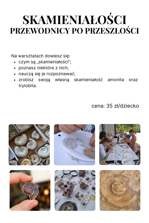 interaktywne warsztaty geologiczne mobile 6