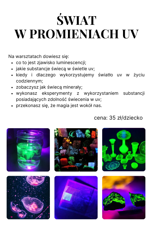 interaktywne warsztaty geologiczne mobile 8