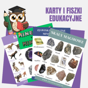 KARTY I FISZKI EDUKACYJNE